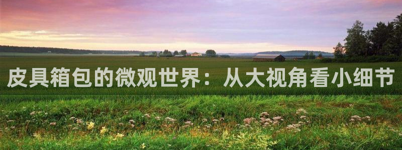 琳琅娱乐在哪直播的