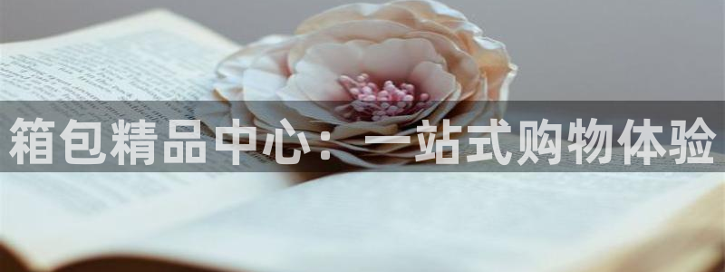 琳琅娱乐注册资金多少