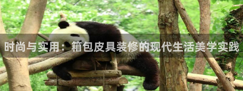 琳琅科技qq娱乐机器人