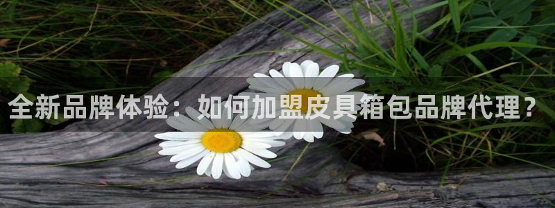 琳琅科技娱乐机器人