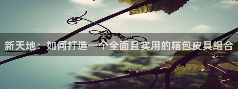 琳琅娱乐领先33300