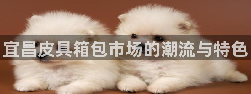 琳琅娱乐信誉33300