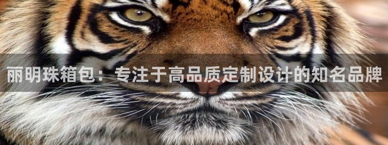 琳琅娱乐在线观看