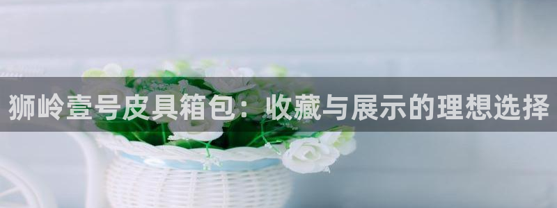 琳琅娱乐足球