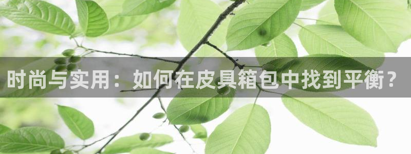 琳琅娱乐工作室招聘信息