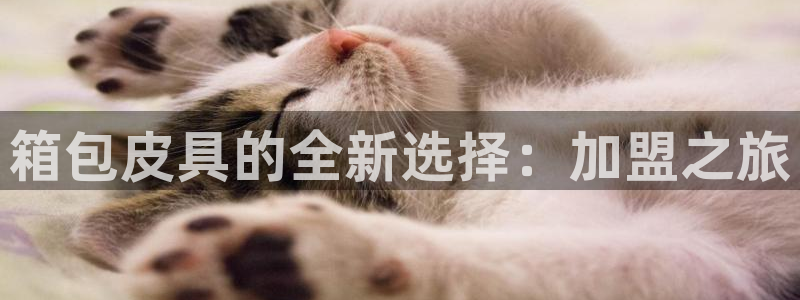 琳琅娱乐平台是真的吗