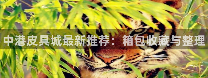 琳琅娱乐装7O777