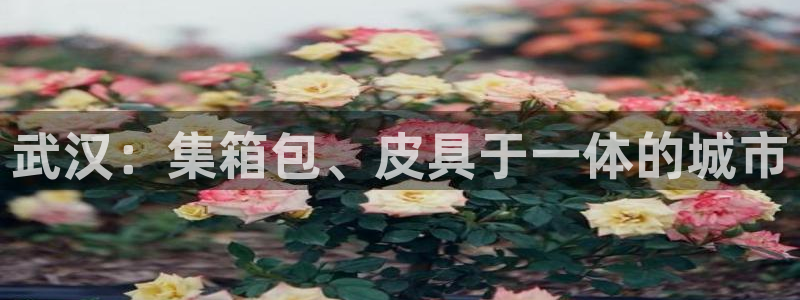 琳琅娱乐平台注册