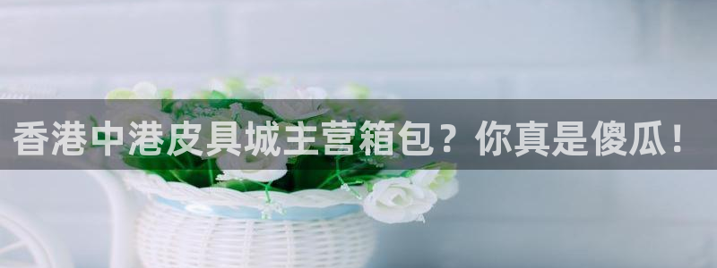 琳琅娱乐平台是真的吗