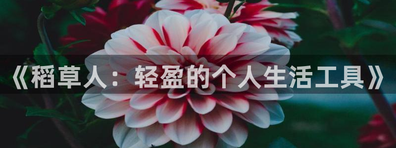 娱乐从琳琅榜开始笔趣阁