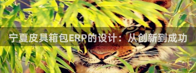 琳琅科技娱乐qq机器人词库