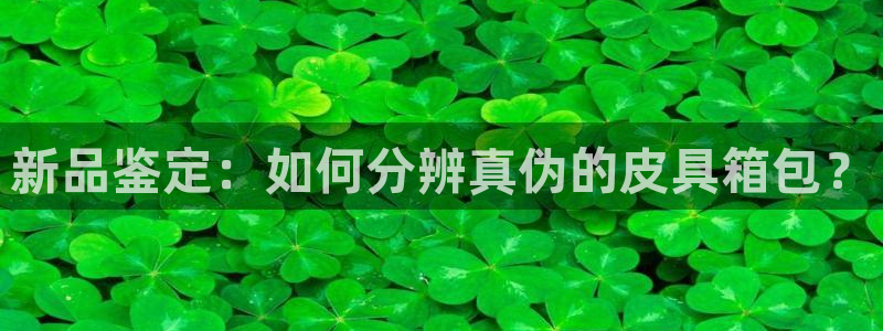 琳琅天上qq飞车娱乐