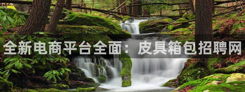 琳琅天上qq飞车娱乐