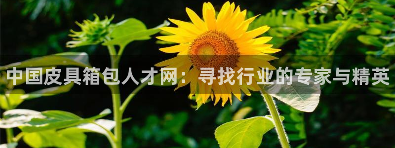 琳琅娱乐代理21192