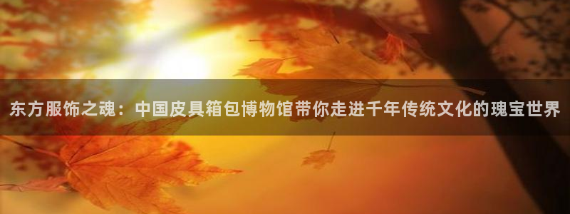 琳琅科技娱乐机器