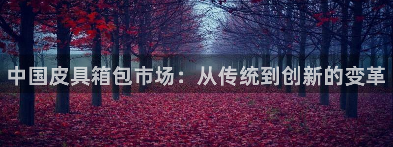 琳琅娱乐代理人是谁