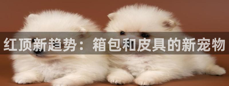 琳琅娱乐代理怎么做