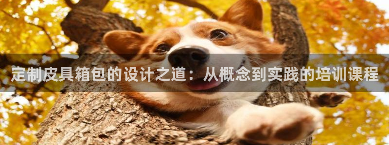 青娱娱乐琳琅导航