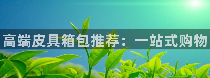 琳琅娱乐工作室地址查询