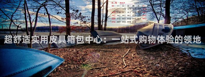 琳琅科技娱乐机器人插件