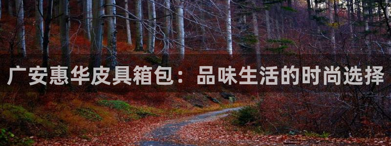 琳琅娱乐场所在哪里
