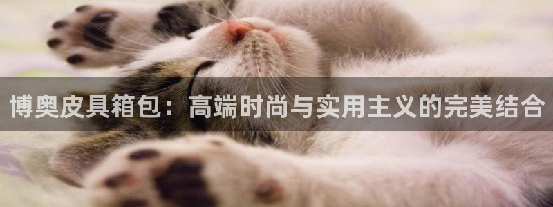 琳琅科技娱乐QQ机器人