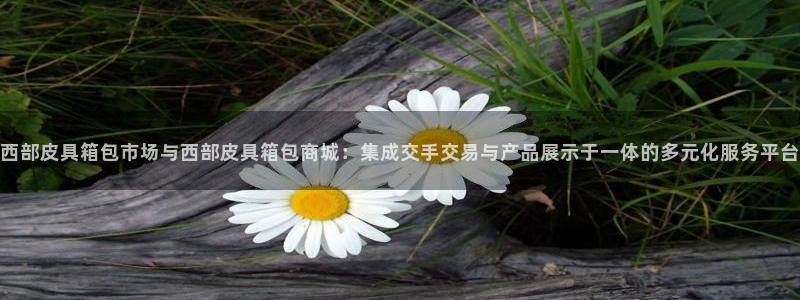琳琅娱乐天美2