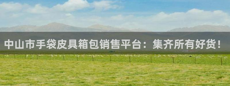 琳琅娱乐总代