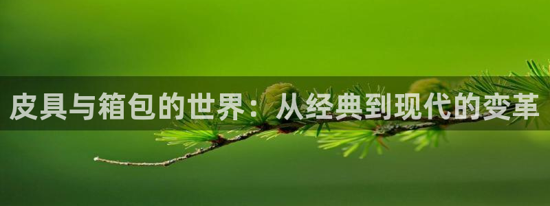 琳琅娱乐代理注册