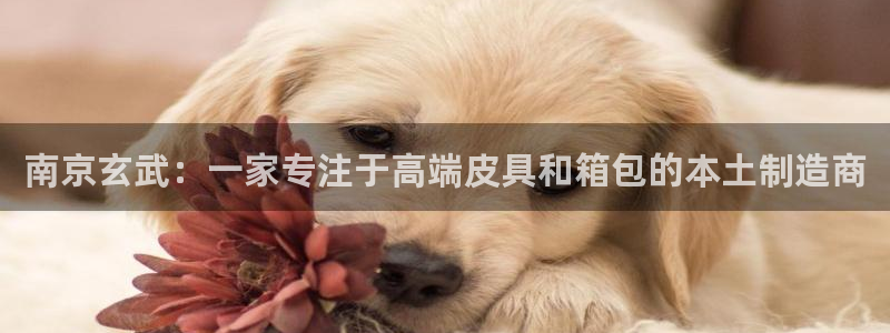 琳琅娱乐官网