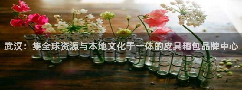 琳琅娱乐组飞车