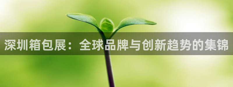 琳琅娱乐场所在哪里