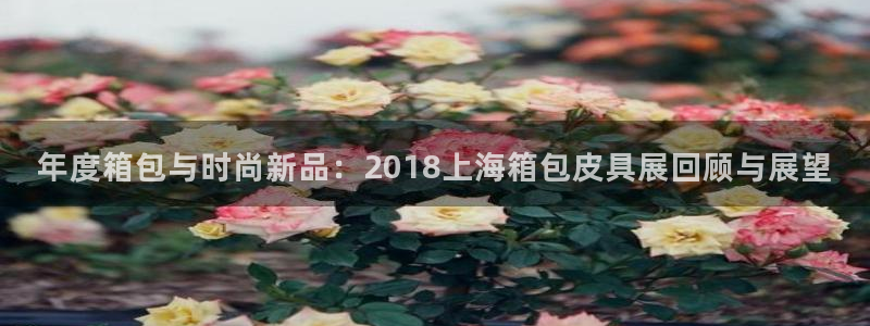 琳琅娱乐工作室地址查询