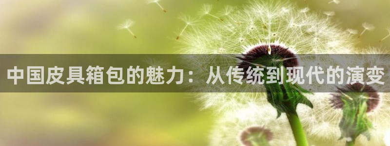 琳琅娱乐代理21192